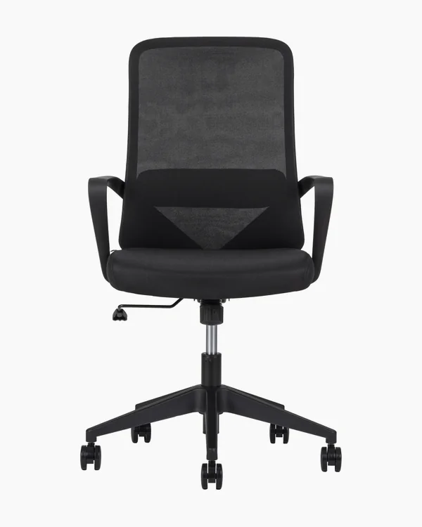 Fly Negra, vista frente