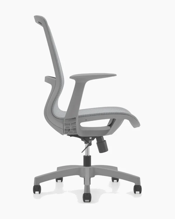 Sonic Gris, vista lateral