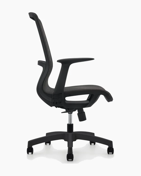 Sonic Negra, vista lateral